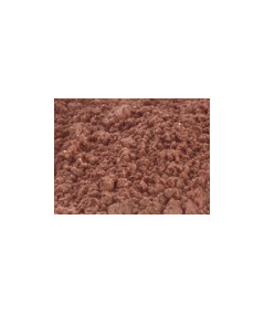 Blush sample size 0,55g